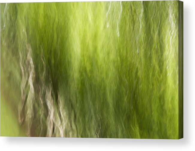Gaia Acrylic Print featuring the photograph Nash Square by Margaret Denny