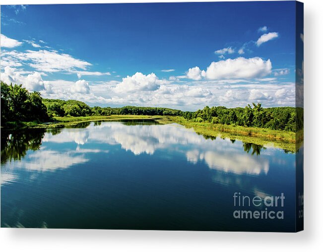 Austria Acrylic Print featuring the photograph National Park Wetlands of the River Danube in Austria by Andreas Berthold