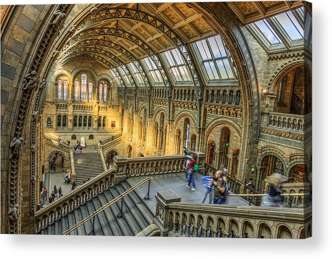 Museum Acrylic Print featuring the photograph Natural History Museum by Chris Smith