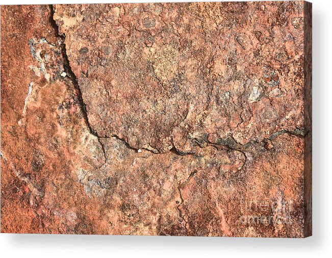 Nature Abstract Acrylic Print featuring the photograph Nature Abstract - Cracked by Carol Groenen