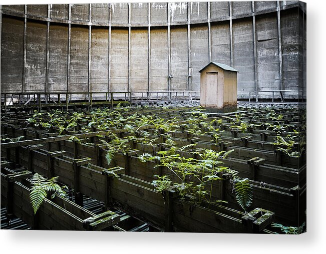 Belgium Acrylic Print featuring the photograph Nature takes back - inside cooling tower by Dirk Ercken