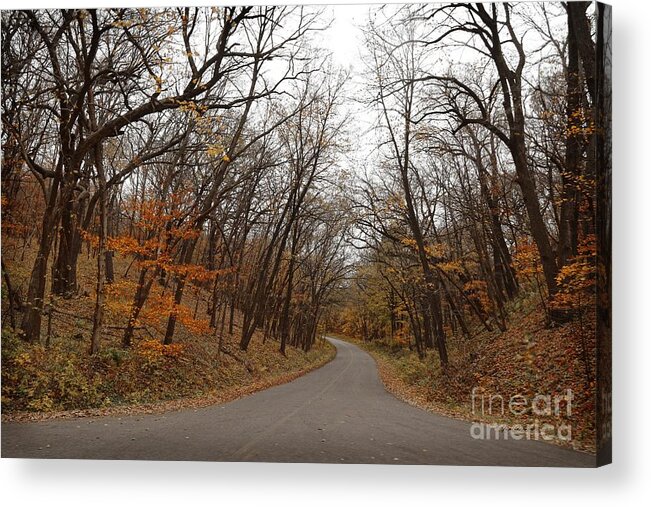 Nature Acrylic Print featuring the photograph Nature trail 3 by Yumi Johnson