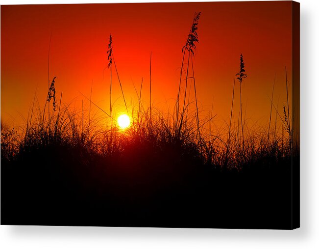 Beach Acrylic Print featuring the photograph Natures Beach Sunset by Kevin Cable