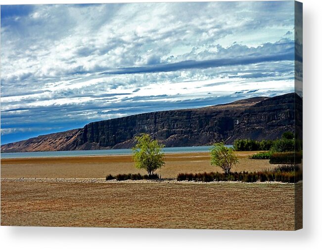 Blue Acrylic Print featuring the photograph Natures Beauty by Cherie Duran