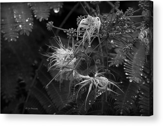 Natural Acrylic Print featuring the photograph Nature's Decor by Jeanette C Landstrom