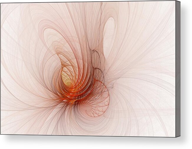 Spiral Acrylic Print featuring the digital art Nautilus in the Fractal Ether by Doug Morgan