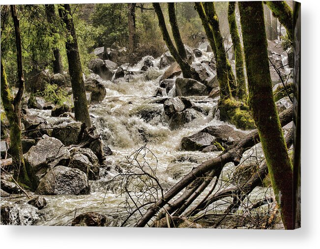 Yosemite Acrylic Print featuring the photograph Nauture z by Chuck Kuhn