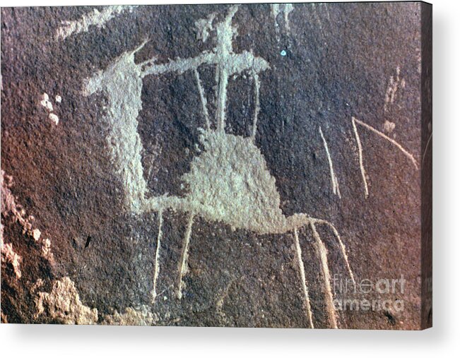 Camel Acrylic Print featuring the photograph Neolithic Petroglyph by Granger