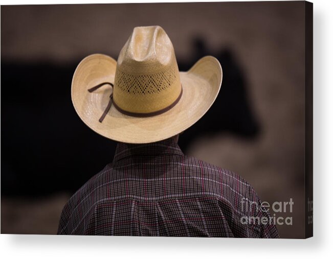 Hat Acrylic Print featuring the photograph New Hat by Lynn Sprowl