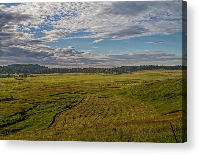 Landscape Acrylic Print featuring the photograph New Mown Hay by Alana Thrower