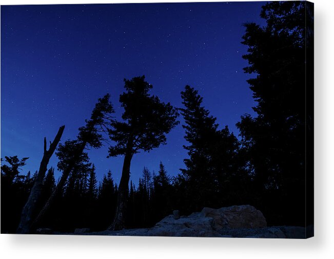 Glacier Acrylic Print featuring the photograph Night Giants by Margaret Pitcher