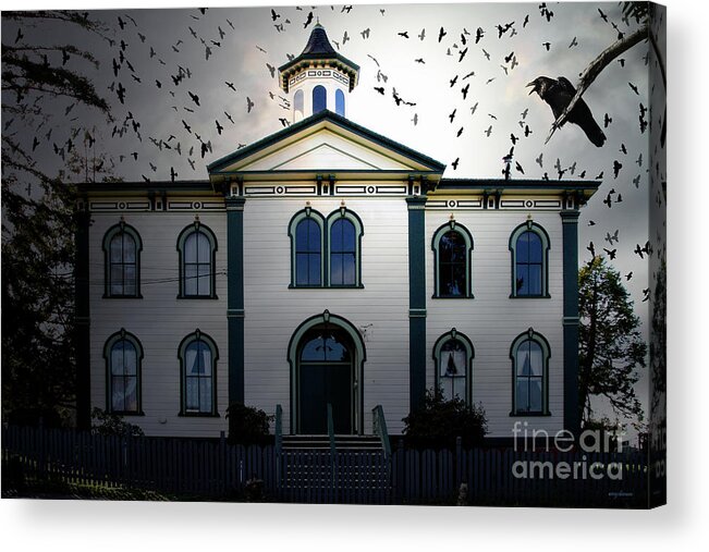 Wingsdomain Acrylic Print featuring the photograph Night of The Birds . 7D12487 by Wingsdomain Art and Photography