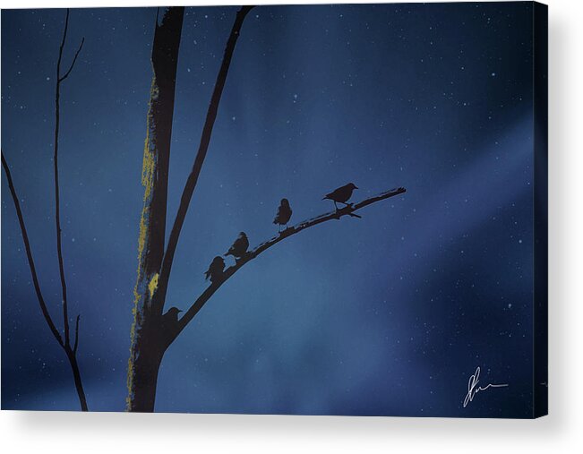 Night Acrylic Print featuring the photograph Nightfall by Jackson Pearson