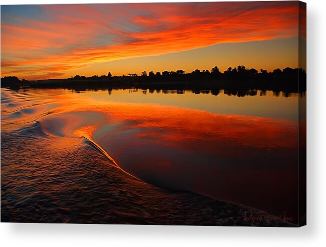 Nile Acrylic Print featuring the photograph Nile Sunset by Nigel Fletcher-Jones