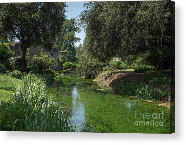 Ninfa Acrylic Print featuring the photograph Ninfa Garden, Rome Italy 6 by Perry Rodriguez