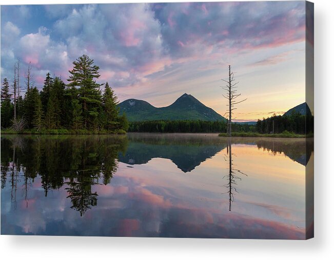 Maine Acrylic Print featuring the photograph Northeastern by Patrick Downey