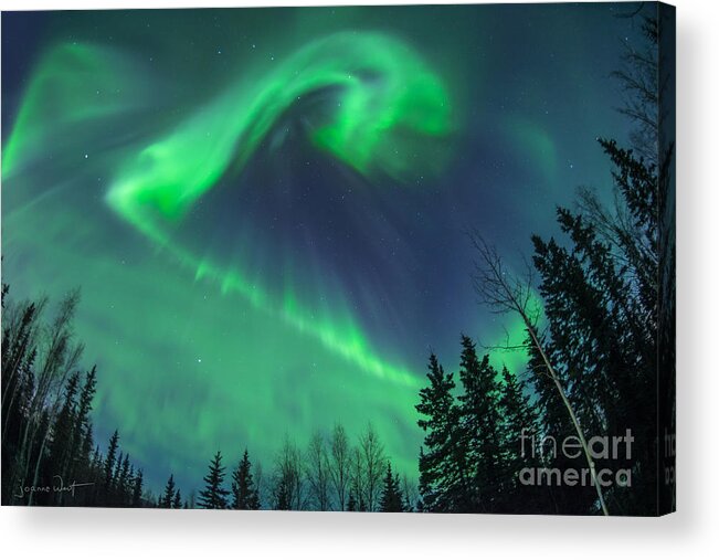 Aurora Borealis Acrylic Print featuring the photograph Northern Lights Shapeshifting by Joanne West