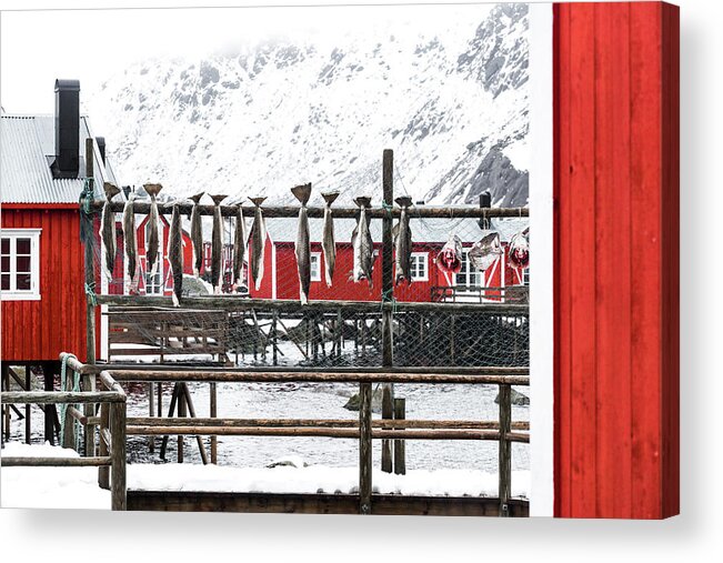 Lofoten Acrylic Print featuring the photograph Norway by Francesco Riccardo Iacomino