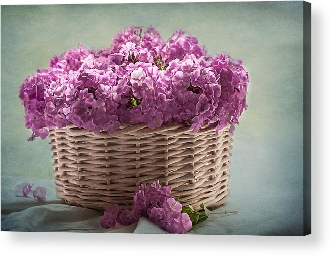 Phlox Acrylic Print featuring the photograph Nostalgia and Phlox by Maggie Terlecki