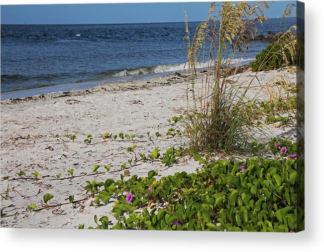 Gulf Of Mexico Acrylic Print featuring the photograph Nothing Incomplete by Michiale Schneider