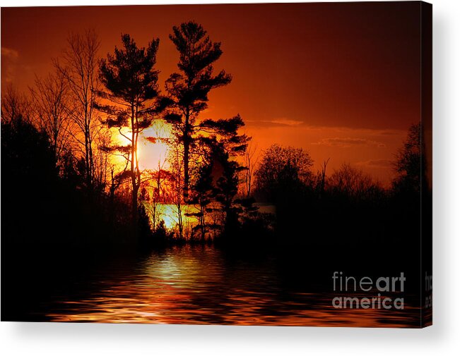 Sunset Acrylic Print featuring the photograph November Sunset by Elaine Hunter