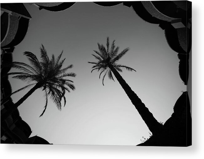 Beach Acrylic Print featuring the photograph Oasis Up by Jez C Self