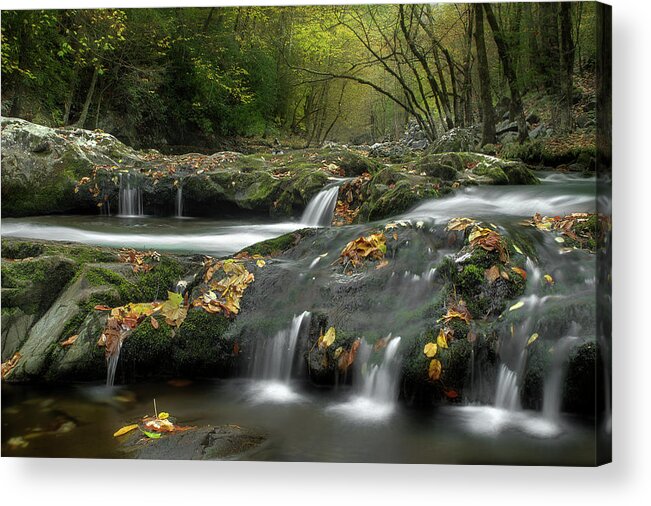 Smoky Mountain Stream Acrylic Print featuring the photograph October In The Smokies by Michael Eingle