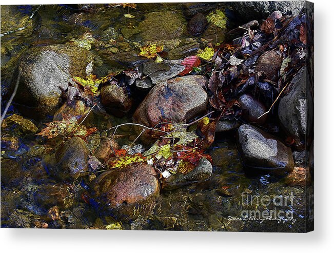 Diane Berry Acrylic Print featuring the drawing October Puddles by Diane E Berry