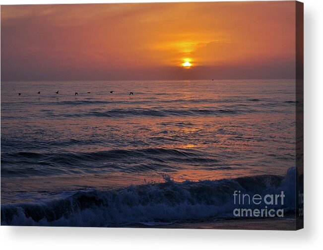 Sunshine Acrylic Print featuring the photograph October Set by Bridgette Gomes