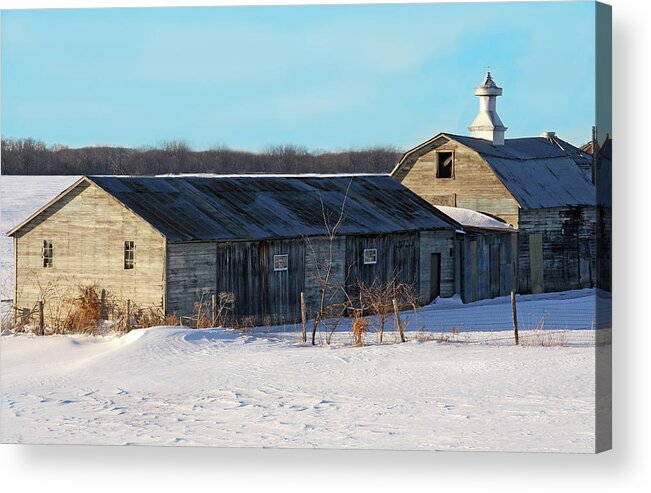 Snow Acrylic Print featuring the photograph Old Barns and Snow by Dave Clark