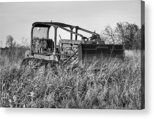 Big Acrylic Print featuring the photograph Old Cat II by Ricky Barnard