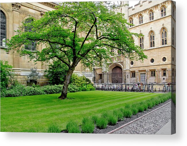 Old Court Acrylic Print featuring the photograph Old court. Clare College. by Elena Perelman