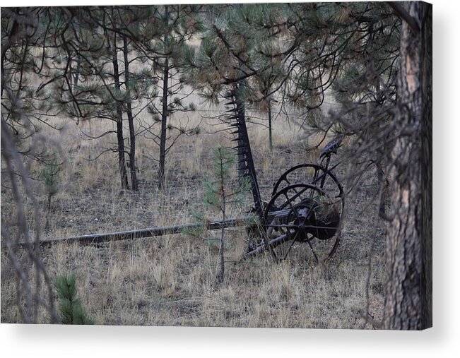 Old Acrylic Print featuring the photograph Old Farm Implement Lake George CO #4 by Margarethe Binkley