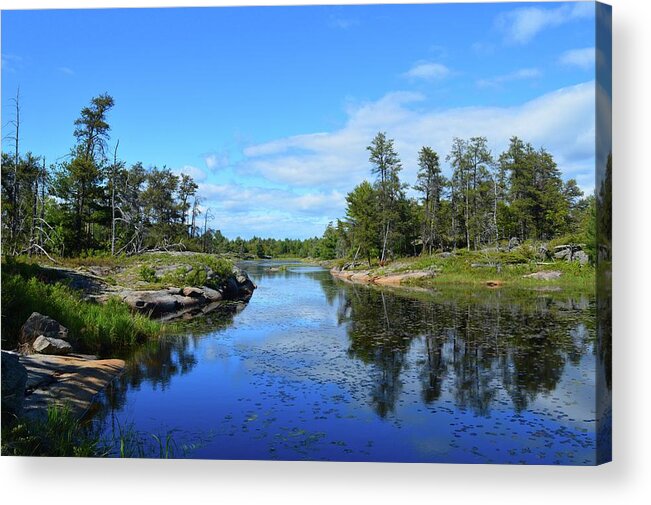 Nature Acrylic Print featuring the photograph Old Forest By The Water by Lyle Crump