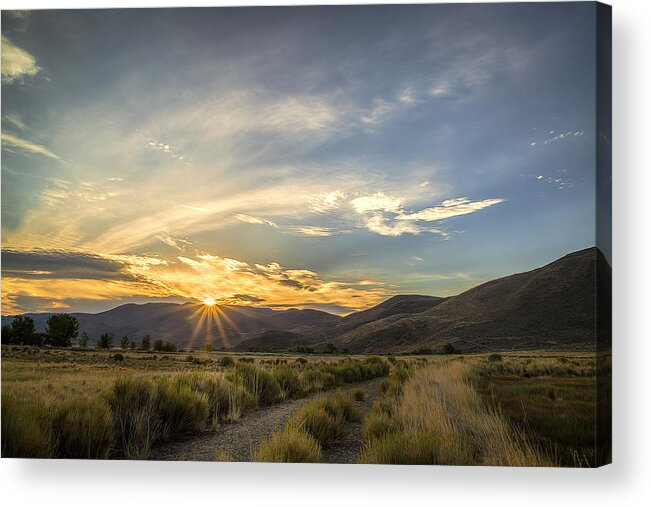 Andscape Acrylic Print featuring the photograph Old Gravel Road by Maria Coulson