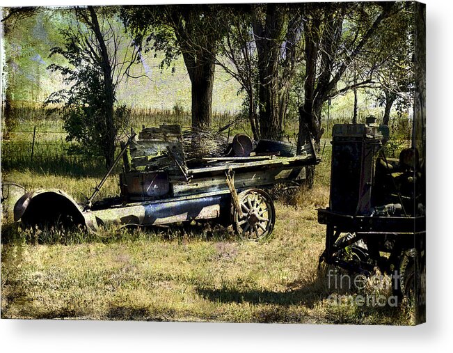 Farm Equipment Acrylic Print featuring the photograph Old Rail by Deb Nakano