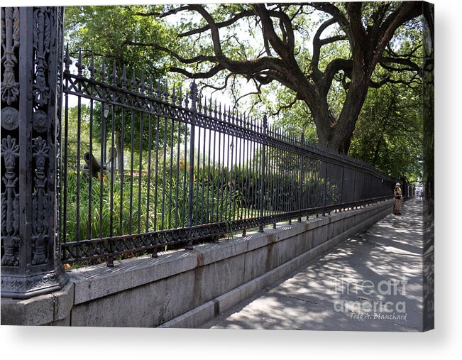Landscape Acrylic Print featuring the photograph Old Tree and Ornate Fence by Todd Blanchard