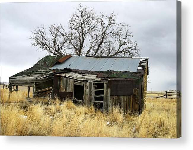 Wyoming Acrylic Print featuring the photograph Old Wyoming Farmhouse by Anthony Jones