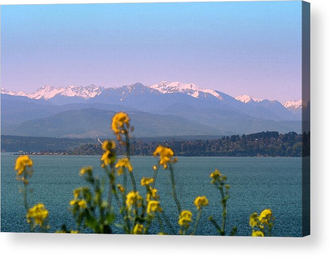 Olympics Acrylic Print featuring the photograph Olympic Mtn. M1001 by Mary Gaines