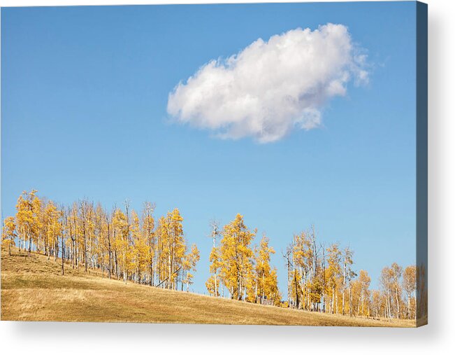 Aspens Acrylic Print featuring the photograph On A Hill by Denise Bush