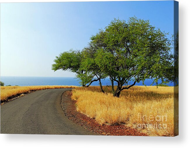  Road Acrylic Print featuring the photograph On the Road to Lapakahi by Jennifer Robin
