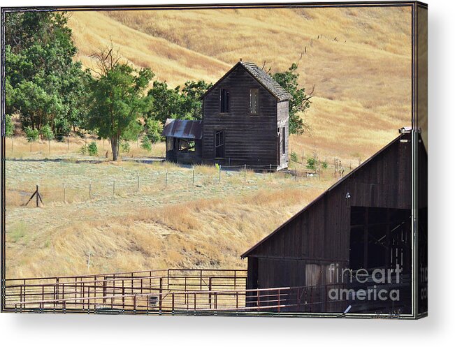 House Acrylic Print featuring the photograph Once Upon A Homestead by Debby Pueschel
