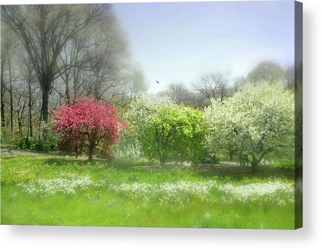 New York Botanical Gardens Acrylic Print featuring the photograph One Love by Diana Angstadt
