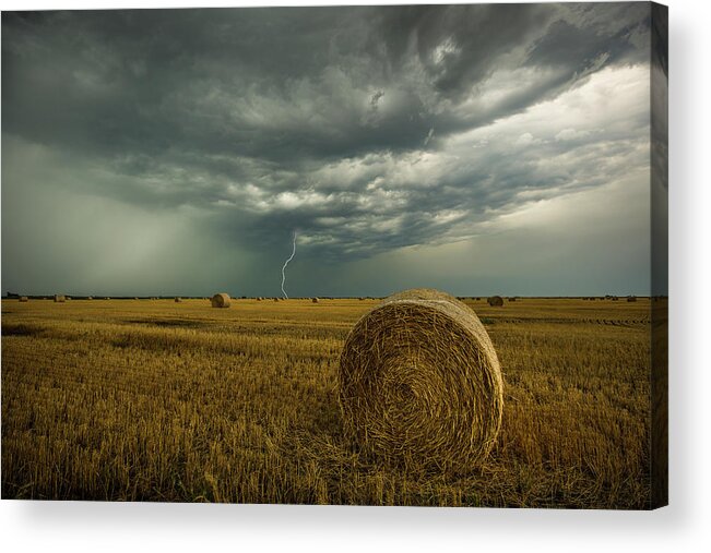 Field Acrylic Print featuring the photograph One more time a round by Aaron J Groen