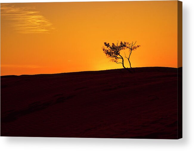 Dune Acrylic Print featuring the photograph One Tree Hill by Catherine Reading