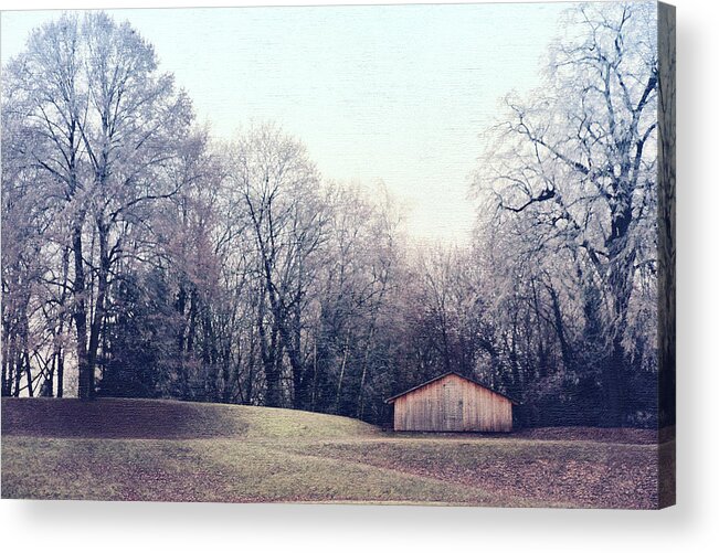 Trier Acrylic Print featuring the photograph One Winter Day by Iryna Goodall