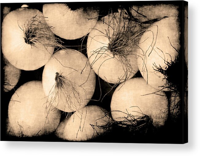 Onions Acrylic Print featuring the photograph Onions by Jennifer Wright