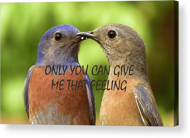 Linda Brody Acrylic Print featuring the photograph Only You Can Give Me That Feeling by Linda Brody