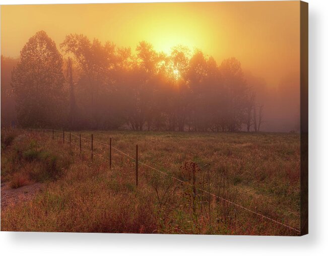 Mist Acrylic Print featuring the photograph Oranage Dawn by Robert Charity