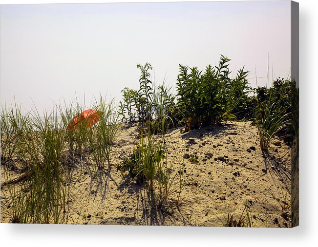Beach Acrylic Print featuring the photograph Orange Beach Umbrella by Madeline Ellis